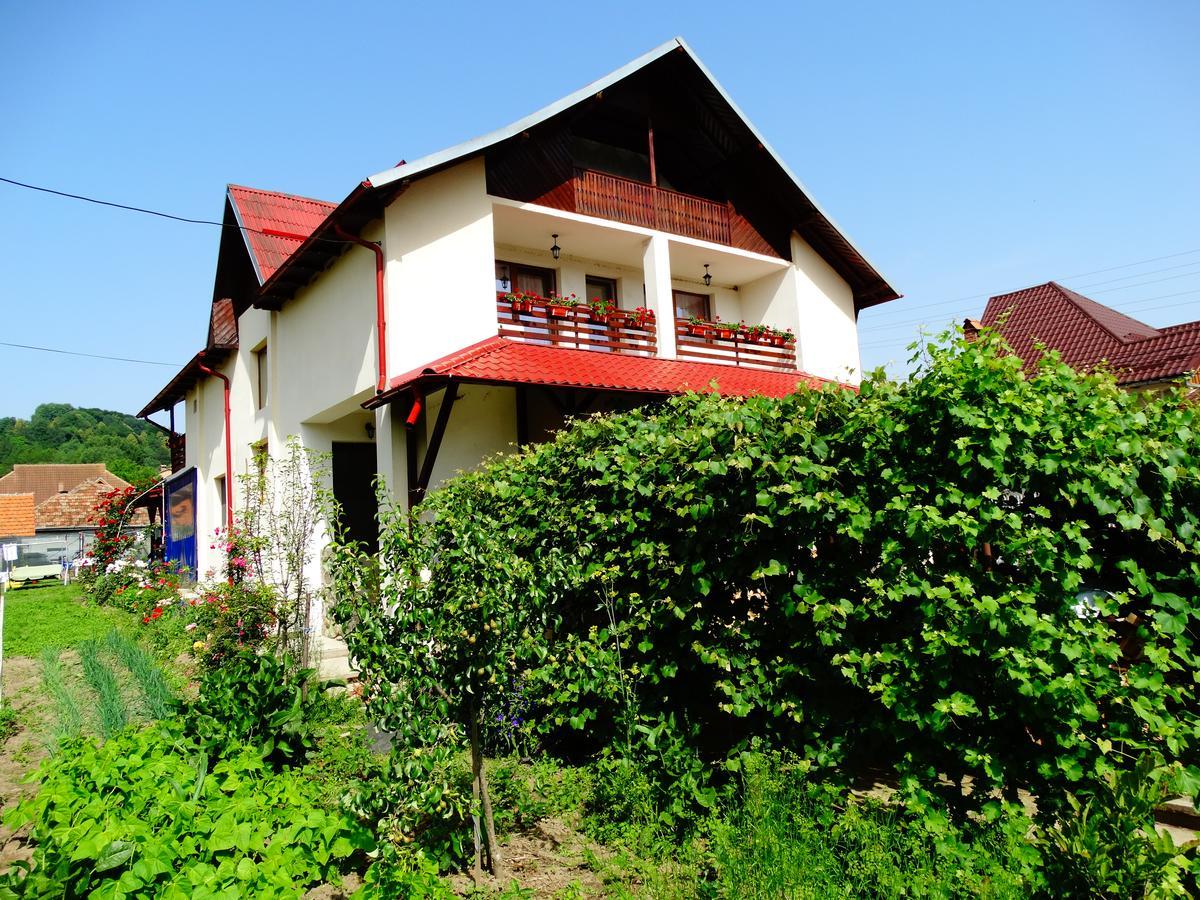 Pensiunea Casa Elena Corbeni Exterior photo